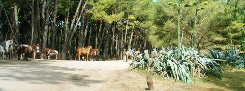 Turismo Rural en Miramar